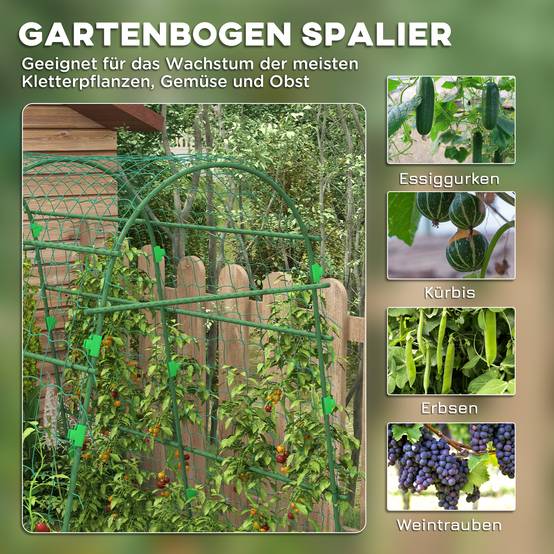 Treillage pour plantes grimpantes, acier, vert, 144 x 167 x 206 cm - PANGIVO - Image 4