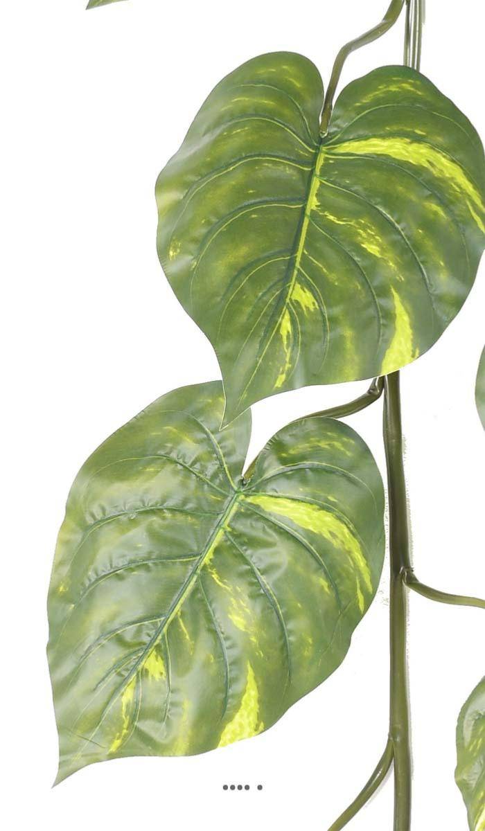 Artificielles - Guirlande géante de pothos artificiel H 180 cm D 55 cm superbe - Imagen 3