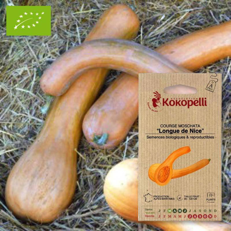 Courge Longue de Nice- Graines bio à semer - Imagen 1