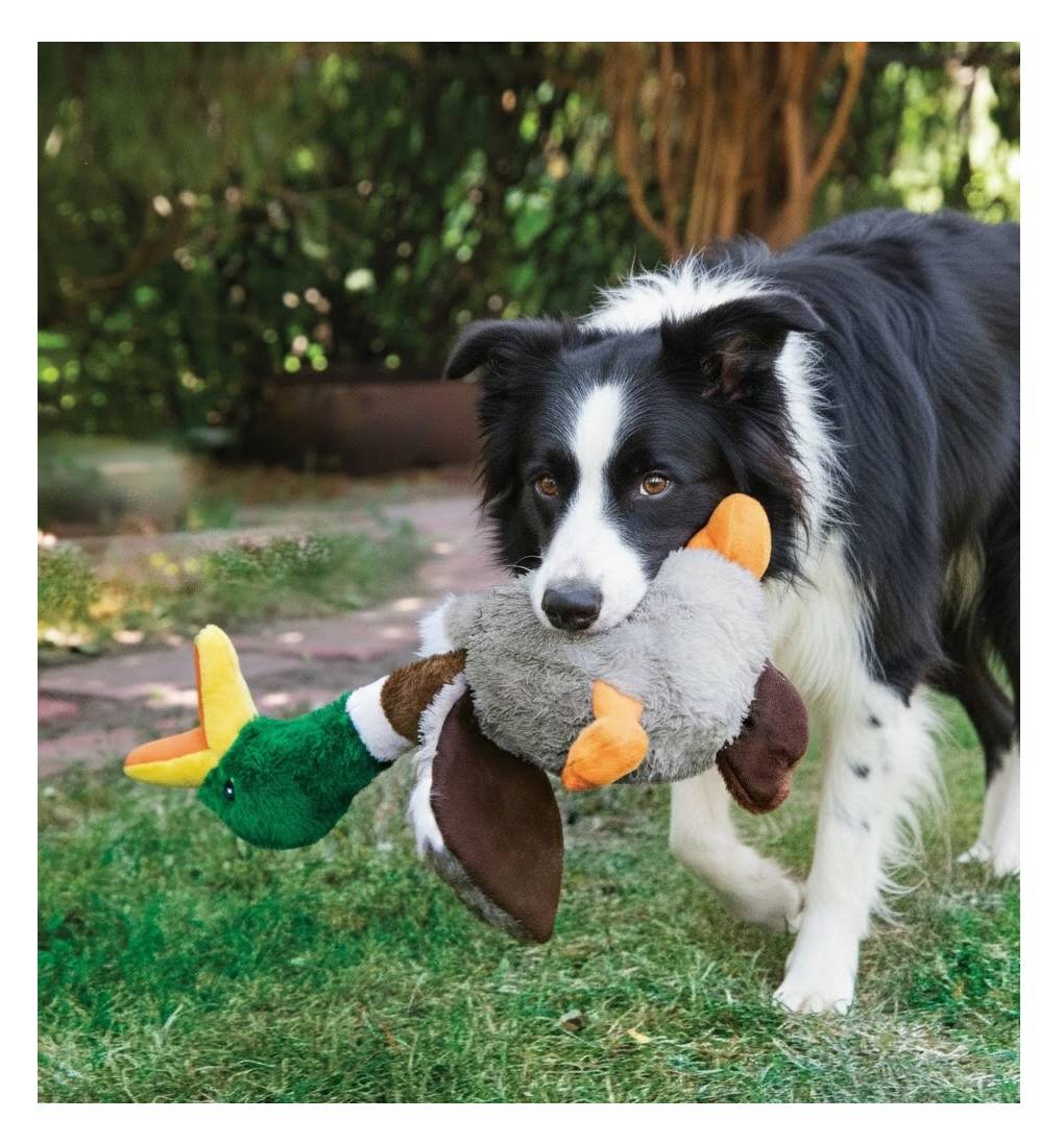 Eden - Jeu pour chien Honkers Canard - Image 2
