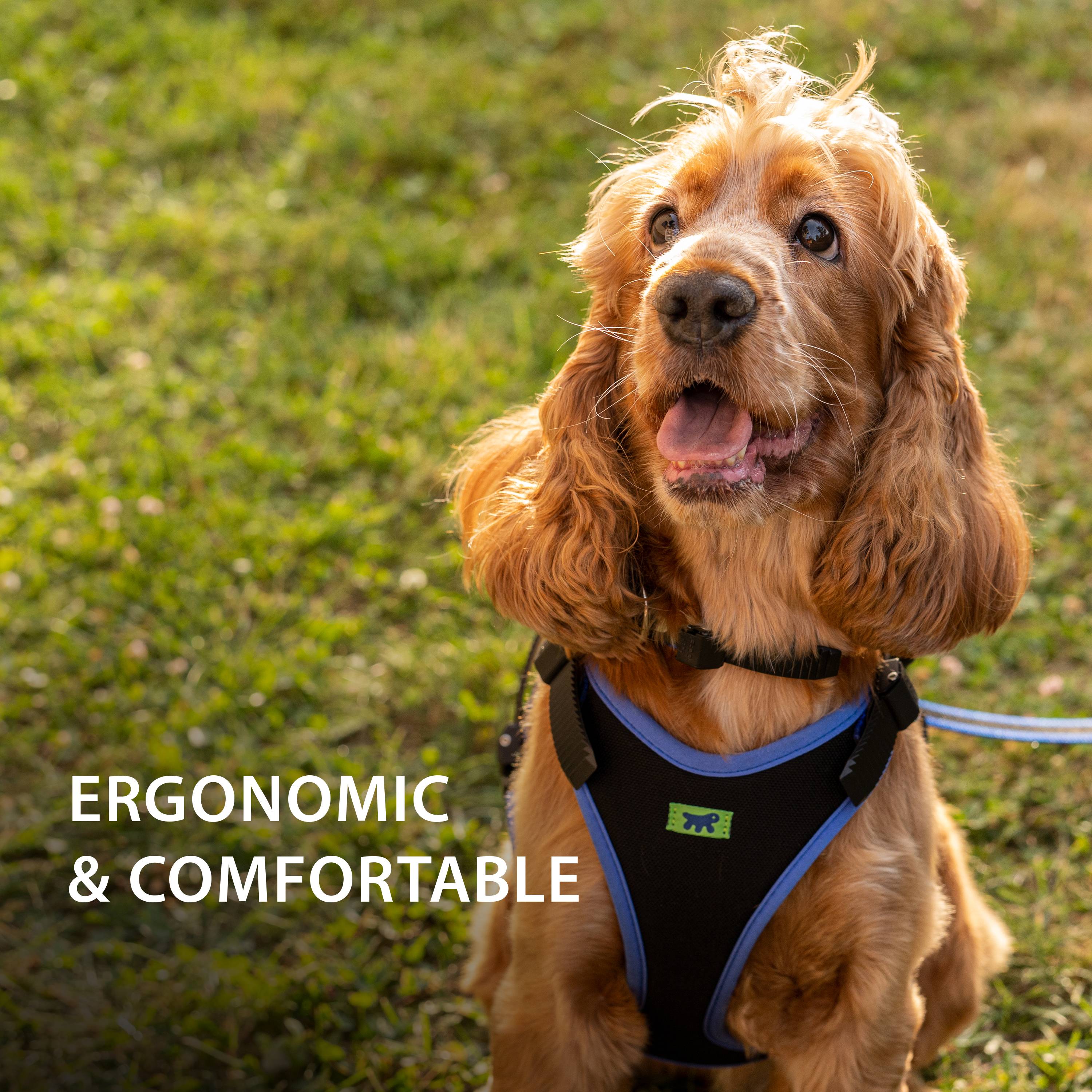 Ferplast - Ferplast Harnais pour chien de taille moyenne ERGOCOMFORT MEDIUM, Harnais pour chien réglable, Confortable, Rembourré, Fermeture double - Imagen 6