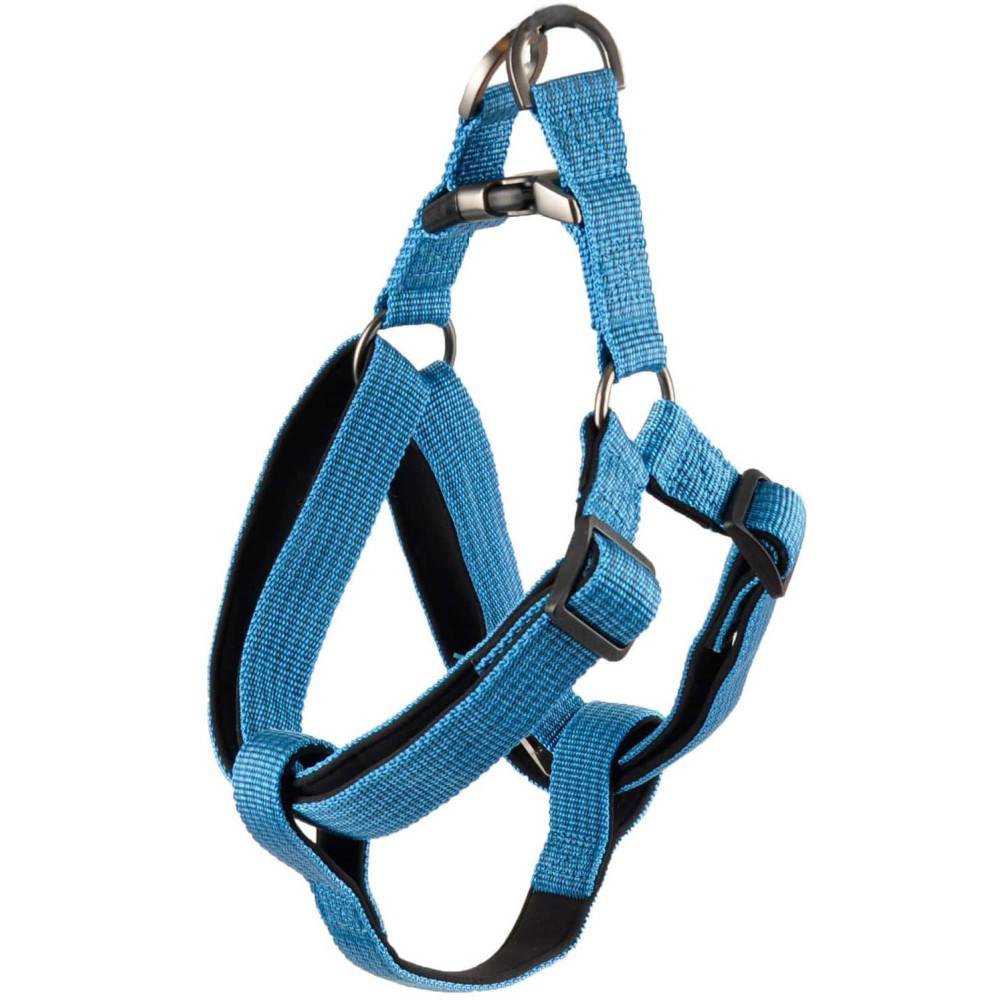 Flamingo - Harnais Jannu L 40-70 cm 25 mm  bleu pour chien - Imagen 1