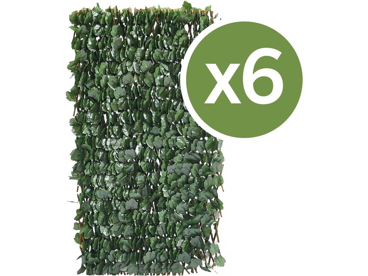 Habitat Et Jardin - Lot De 6 Clôtures En Treillis De Saule "fragon" - 200 X 100 Cm - Vert -habitat Et Jardin - Imagen 1