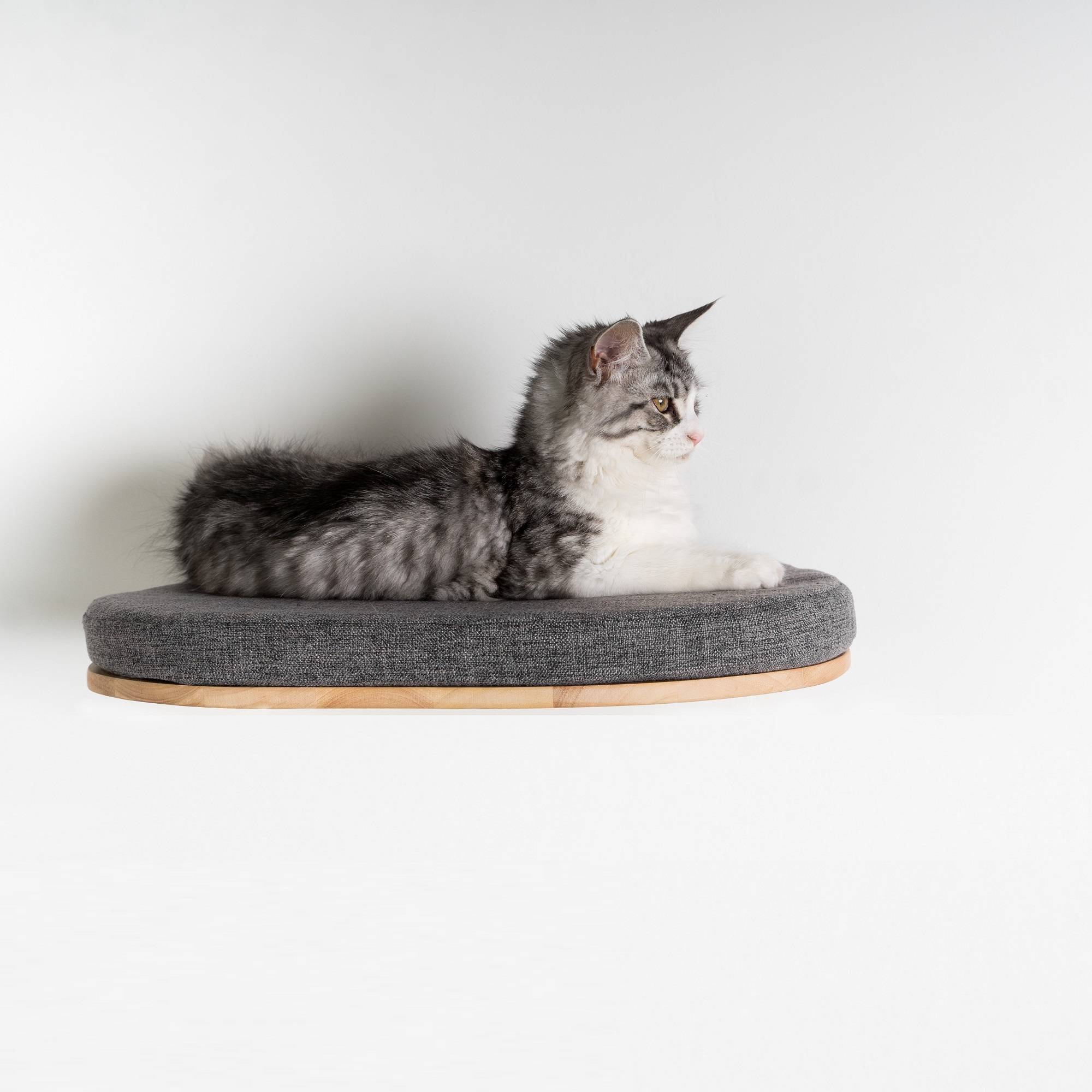 Rhr Concepts Bv - Mur d’escalade pour chat - Luxueux lit mural pour chat (gris) - RHR Concepts BV - Imagen 2