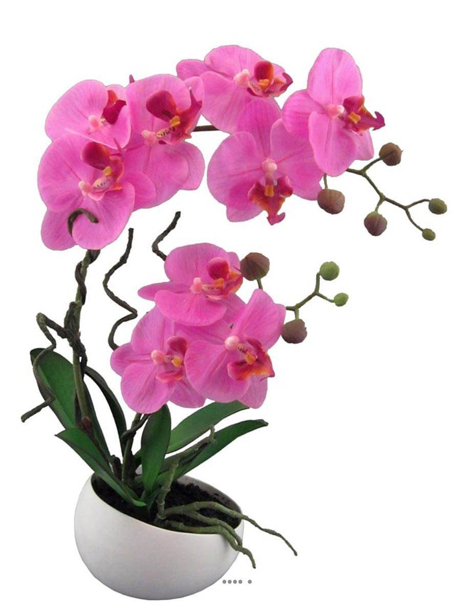 Artificielles - Orchidée factice 2hampes coupe céramique H45cm touché réel Rose fushia - couleur: Rose fushia 730
