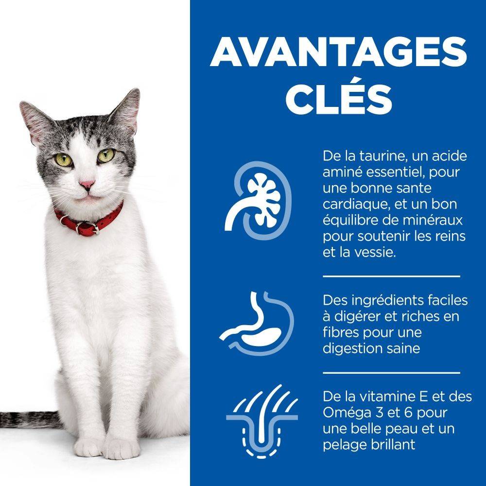 CROQUETTES CHAT SCIENCE PLAN ADULT SENIOR 11+ POULET - HILL'S 3 kg - Image 3