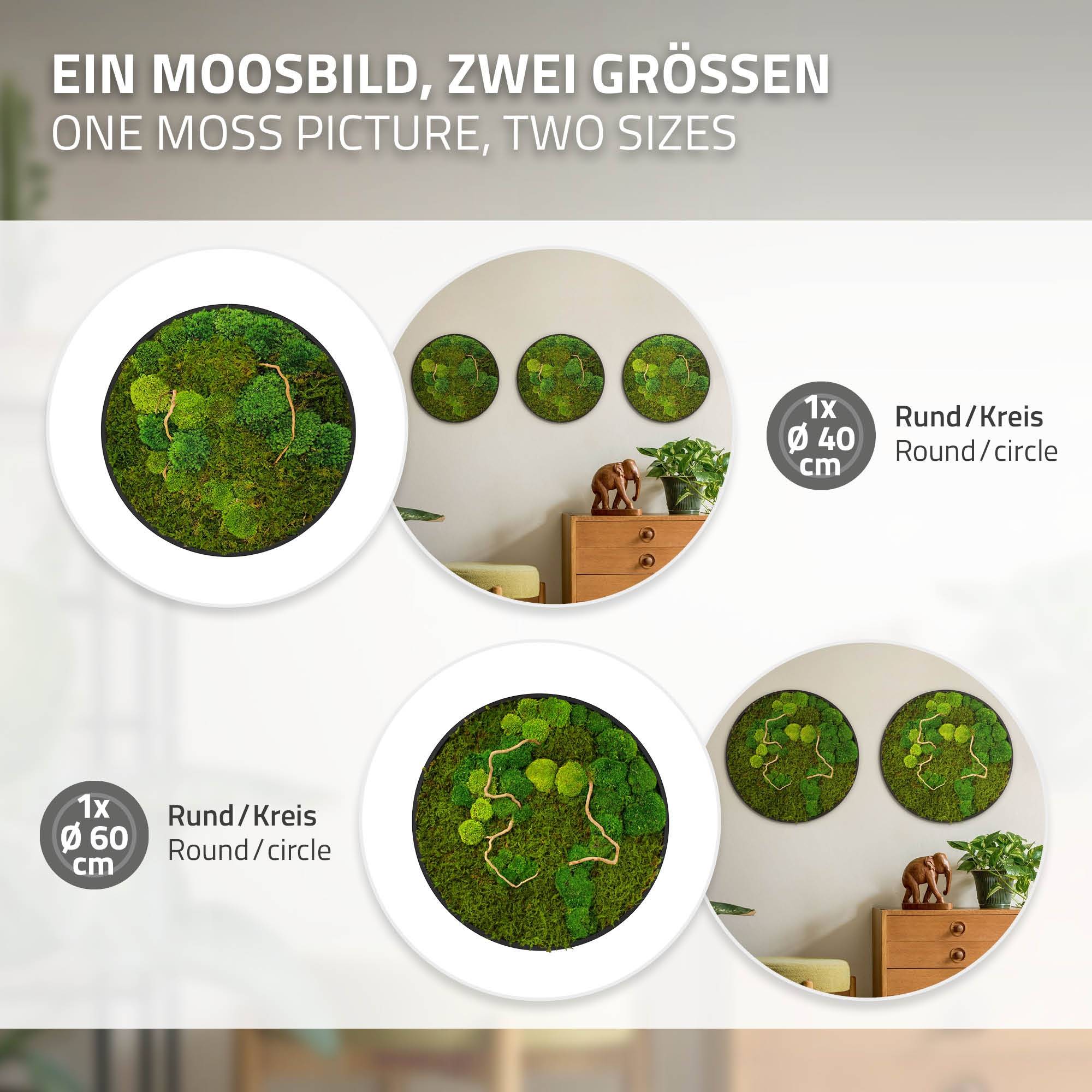 Ecd-Germany - Tableau végétal mural, mélange de mousses stabilisées et de branches, rond Ø60cm, vert, décoration d'intérieur effet 3D, sans entretien, pièce unique - Image 6