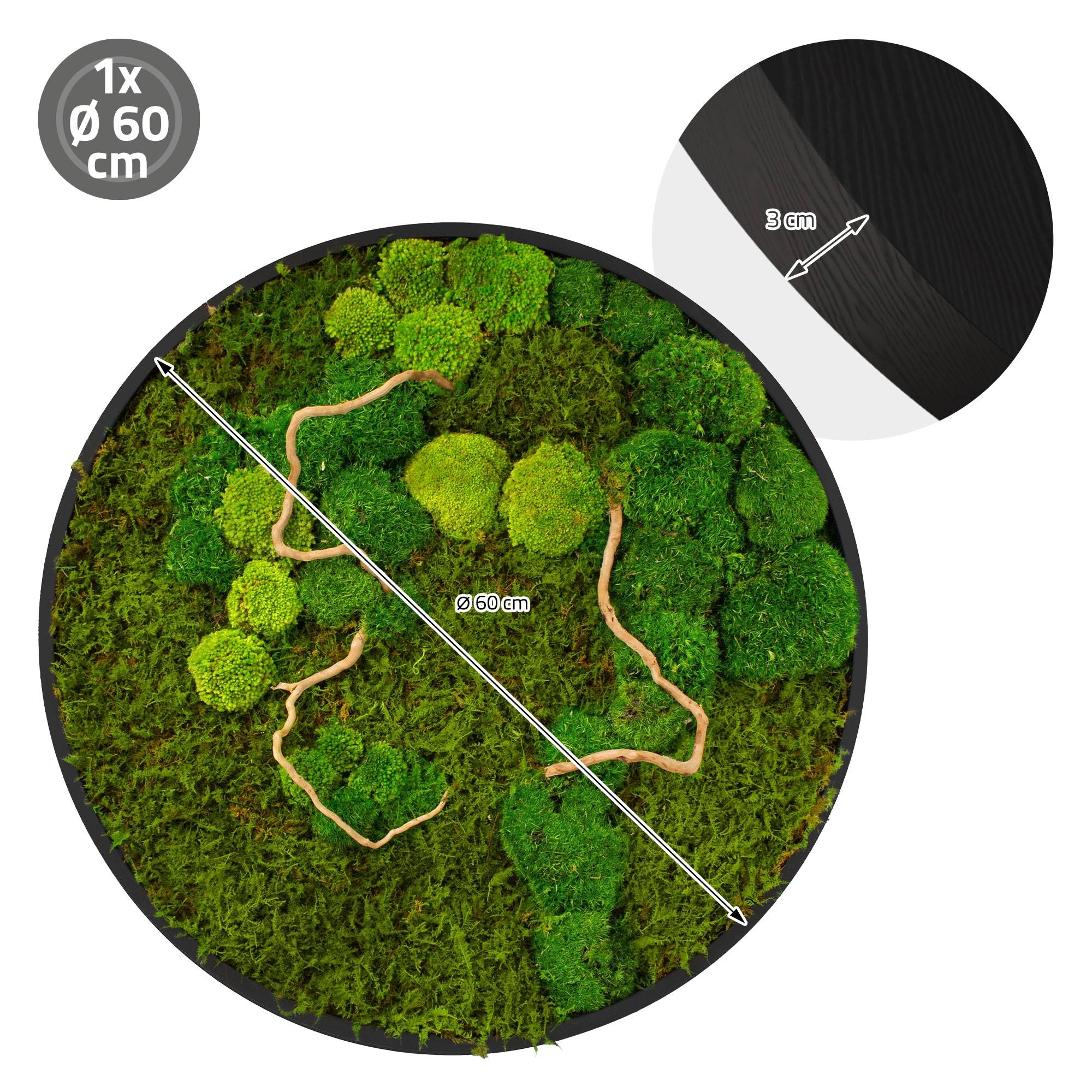 Ecd-Germany - Tableau végétal mural, mélange de mousses stabilisées et de branches, rond Ø60cm, vert, décoration d'intérieur effet 3D, sans entretien, pièce unique - Image 8