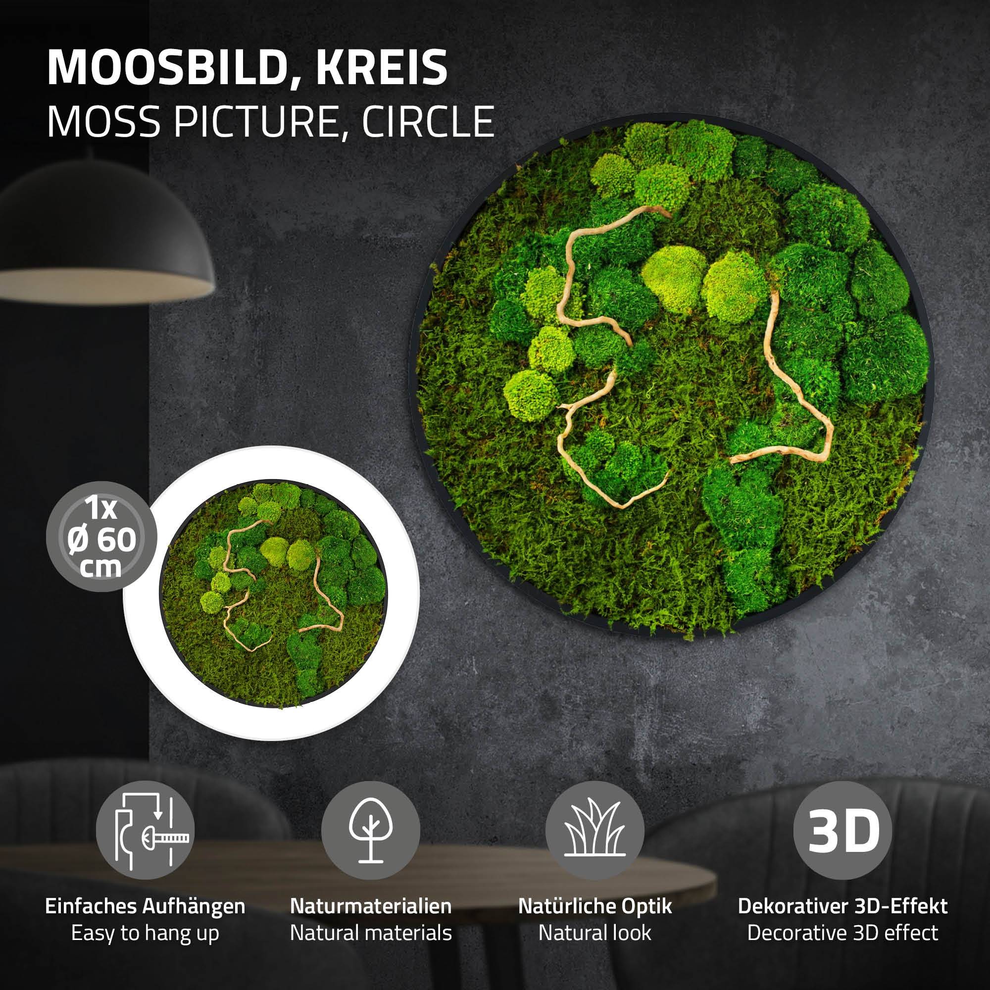Ecd-Germany - Tableau végétal mural, mélange de mousses stabilisées et de branches, rond Ø60cm, vert, décoration d'intérieur effet 3D, sans entretien, pièce unique - Image 2