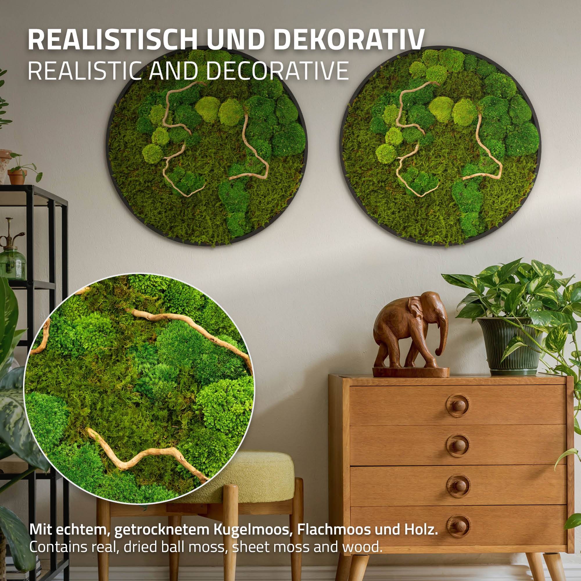 Ecd-Germany - Tableau végétal mural, mélange de mousses stabilisées et de branches, rond Ø60cm, vert, décoration d'intérieur effet 3D, sans entretien, pièce unique - Image 3