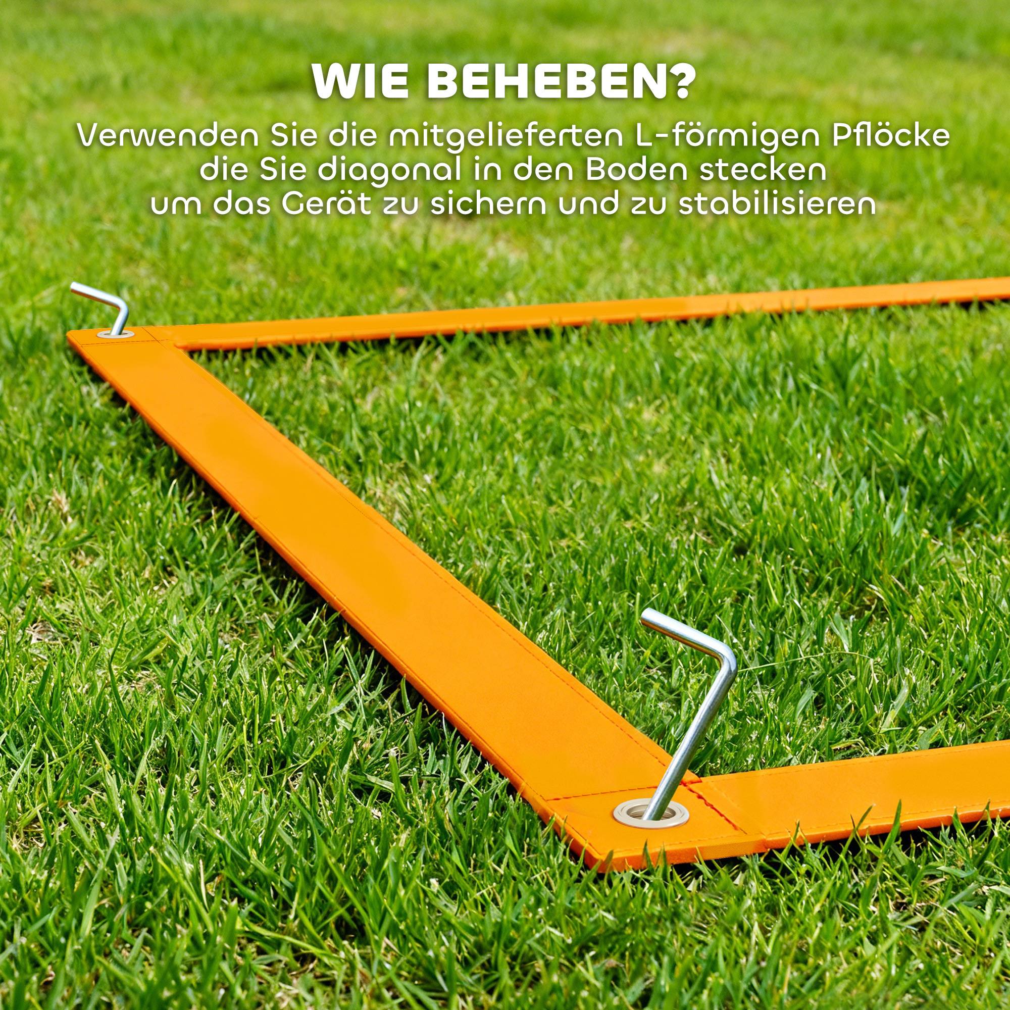 Kit d'agilité pour chien plastique bleu et rouge 352 x 66 x 69 cm - PANGIVO - Image 10
