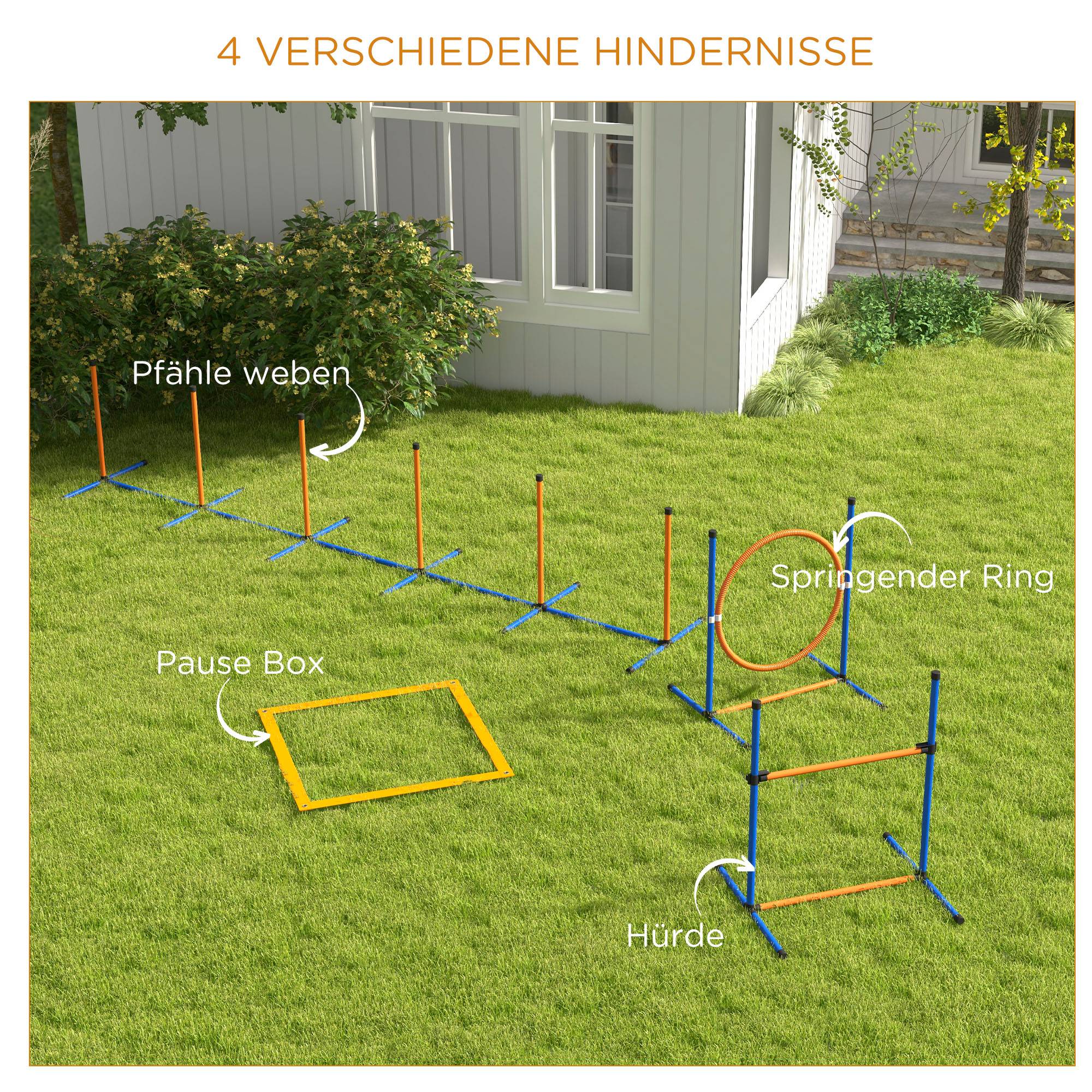 Kit d'agilité pour chien plastique bleu et rouge 352 x 66 x 69 cm - PANGIVO - Image 7