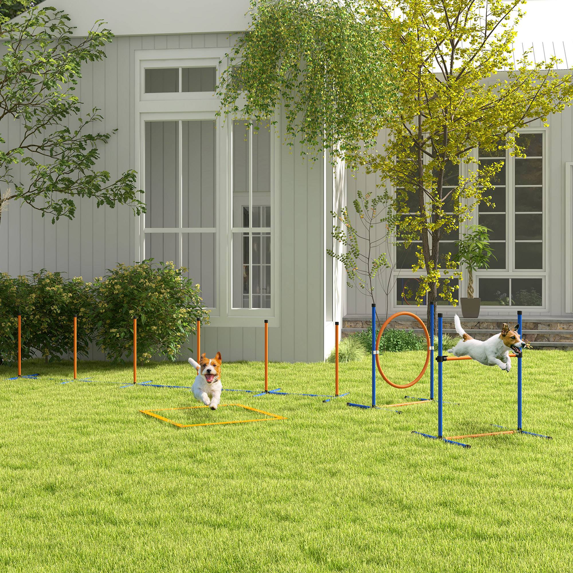 Kit d'agilité pour chien plastique bleu et rouge 352 x 66 x 69 cm - PANGIVO - Image 3