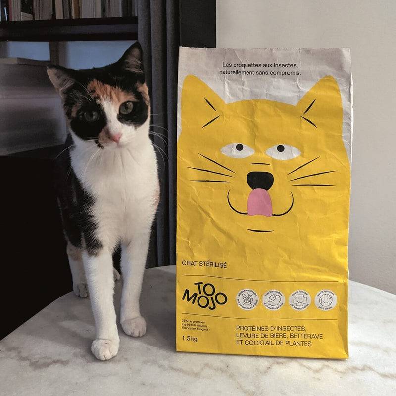 Croquettes pour chat sans céréales adulte 2,5kg - Tomojo - Image 2