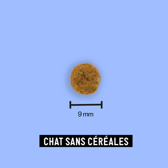 Croquettes pour chat sans céréales adulte 2,5kg - Tomojo - Image 3