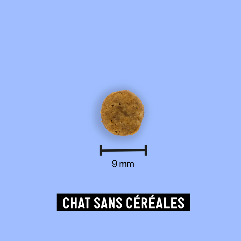 Croquettes pour chat sans céréales adulte 2,5kg - Tomojo - Image 3