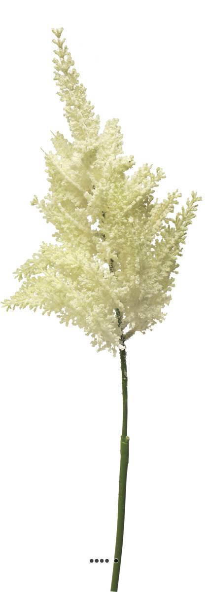 Artificielles - Astilbe artificiel en piquet, H 70 cm, grande densité Crème - BEST - couleur: Crème - Imagen 2