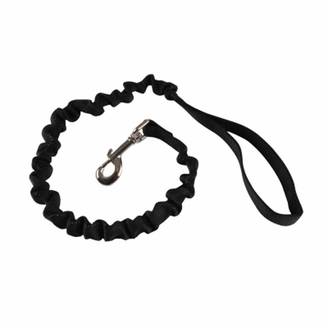Laisse Chien Anti à Coups "Essentiel" 120cm Noir
