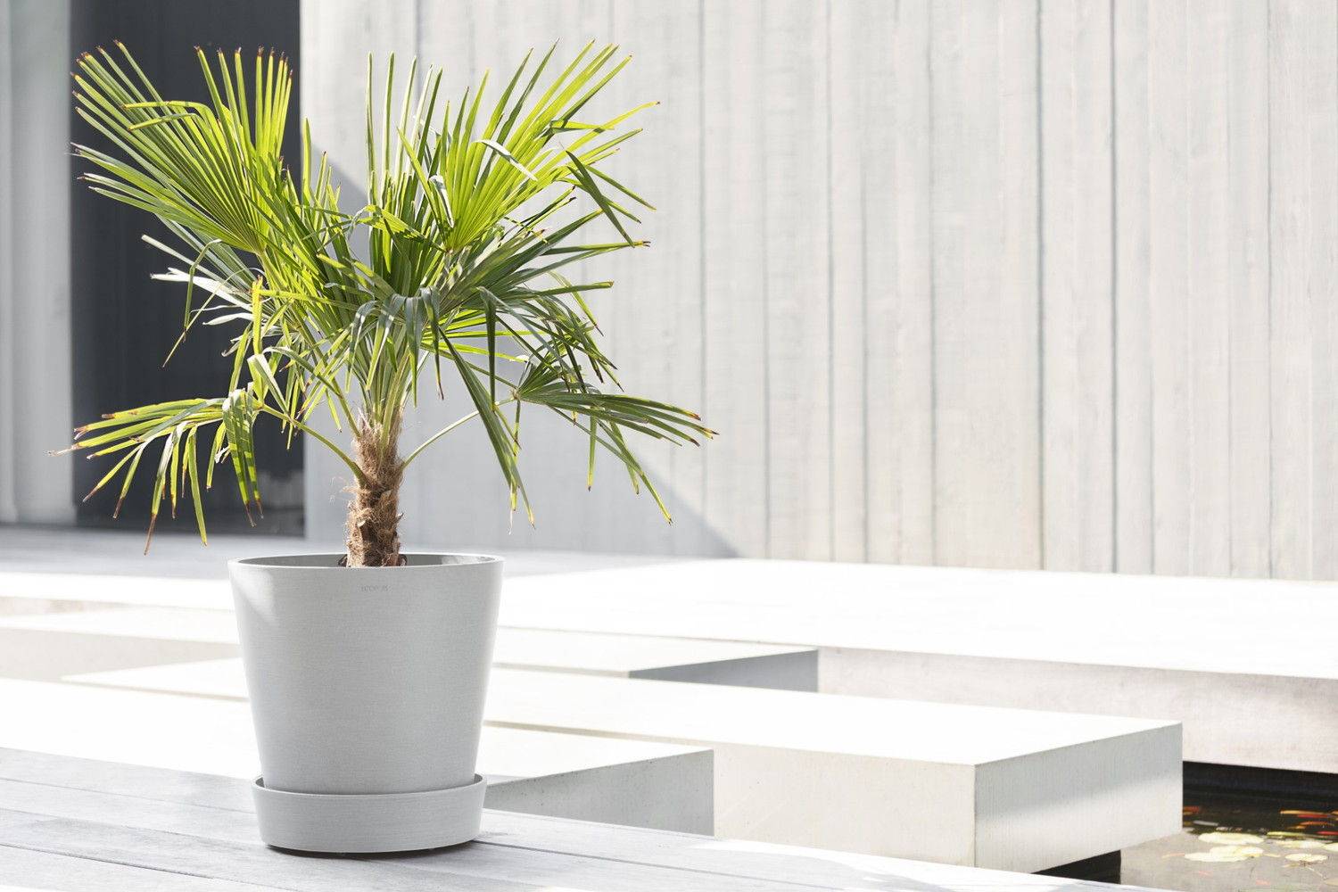 Ecopots - Support à roulettes Wheels 40 Blanc Gris - Ø 34,1 x H. 9 cm ECOPOTS - Imagen 4