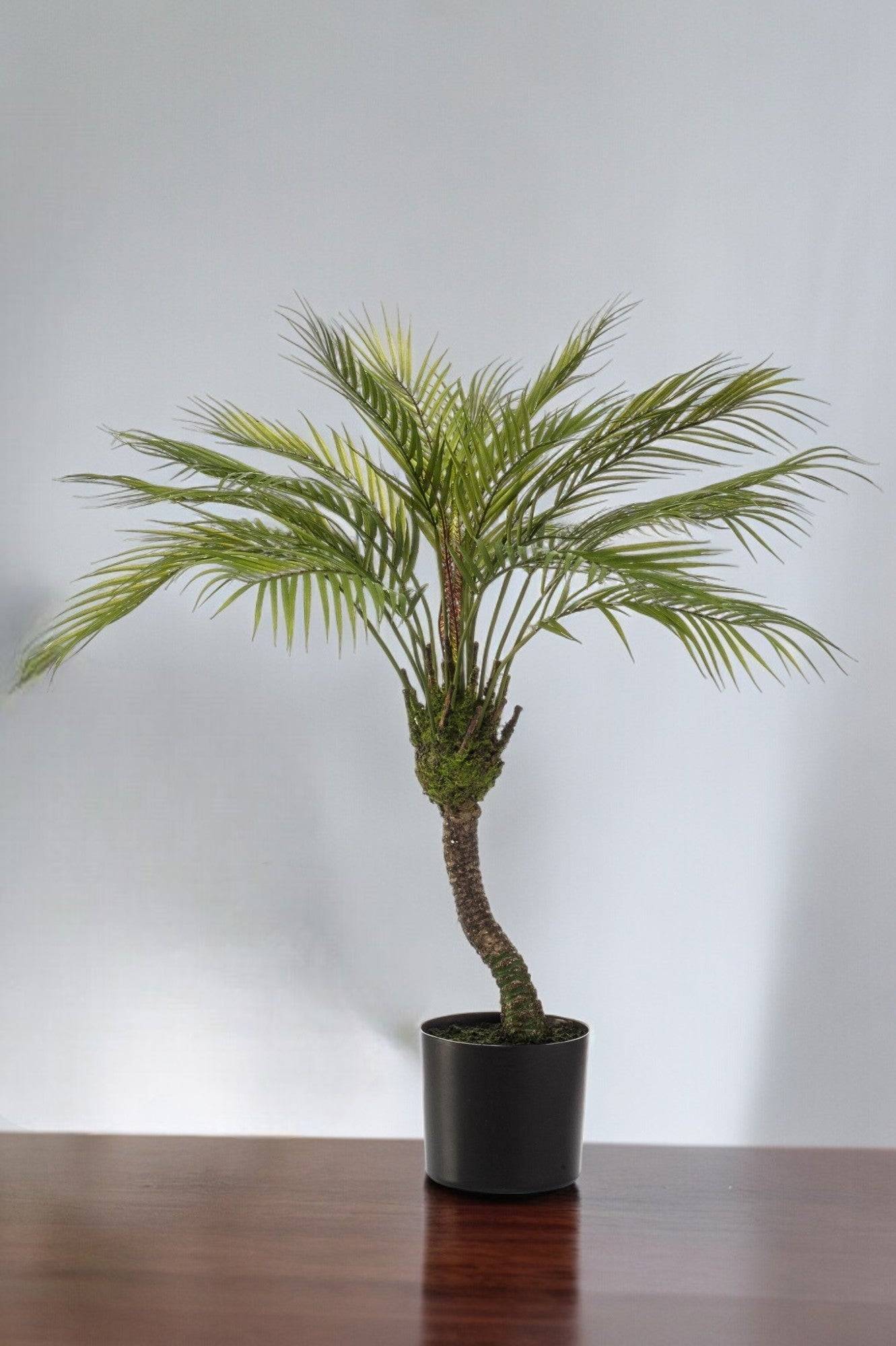 La Green Touch - Chamaedorea plante artificielle - h85cm, Ø12cm- La Green Touch - Imagen 1