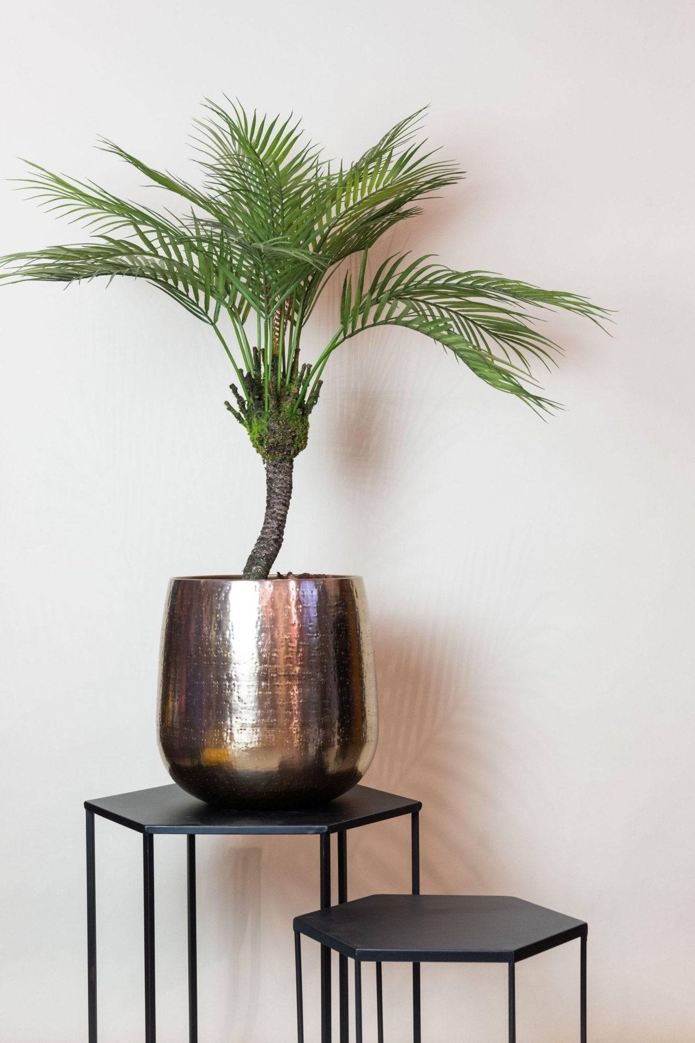 La Green Touch - Chamaedorea plante artificielle - h85cm, Ø12cm- La Green Touch - Imagen 4