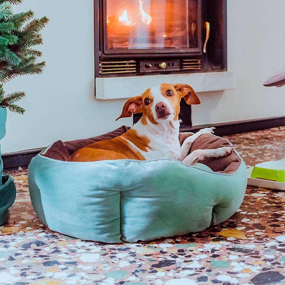 Ferplast - Ferplast Divan pour chats et chiens QUEEN 60 con coussin, couchage rembourré pour animaux, double-face, velours doux, lavable, 60x46x20, gris - Imagen 3