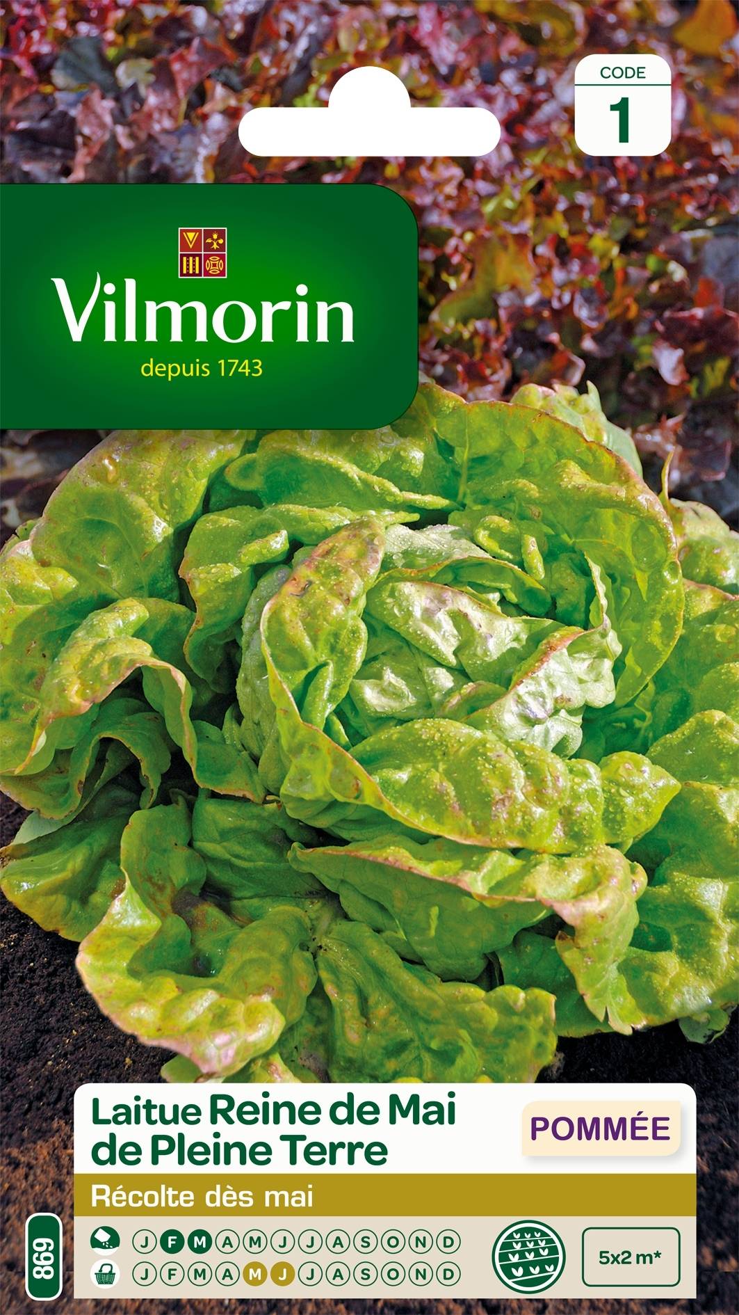 Laitue Pommée Reine de Mai de pleine terre - Vilmorin le sachet de 3200 graines environ (4g)