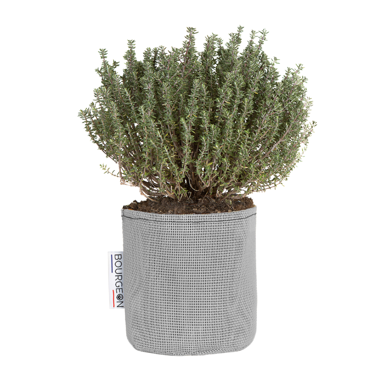Bourgeon - Sac à plantation respirant 12 cm Gris - Bourgeon - Imagen 1