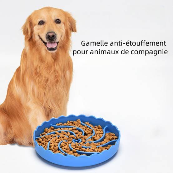 Gamelle anti glouton pour chien et chat - IntiMeg - Image 4