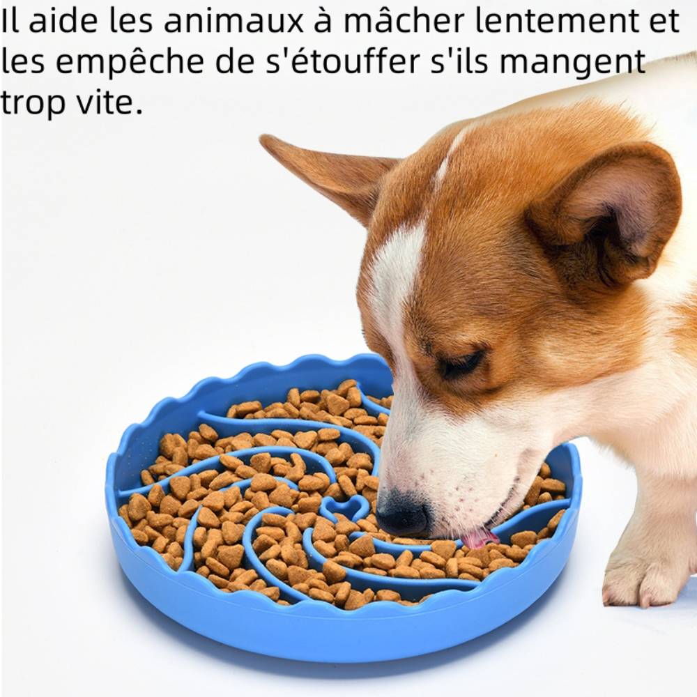 Gamelle anti glouton pour chien et chat - IntiMeg - Image 2
