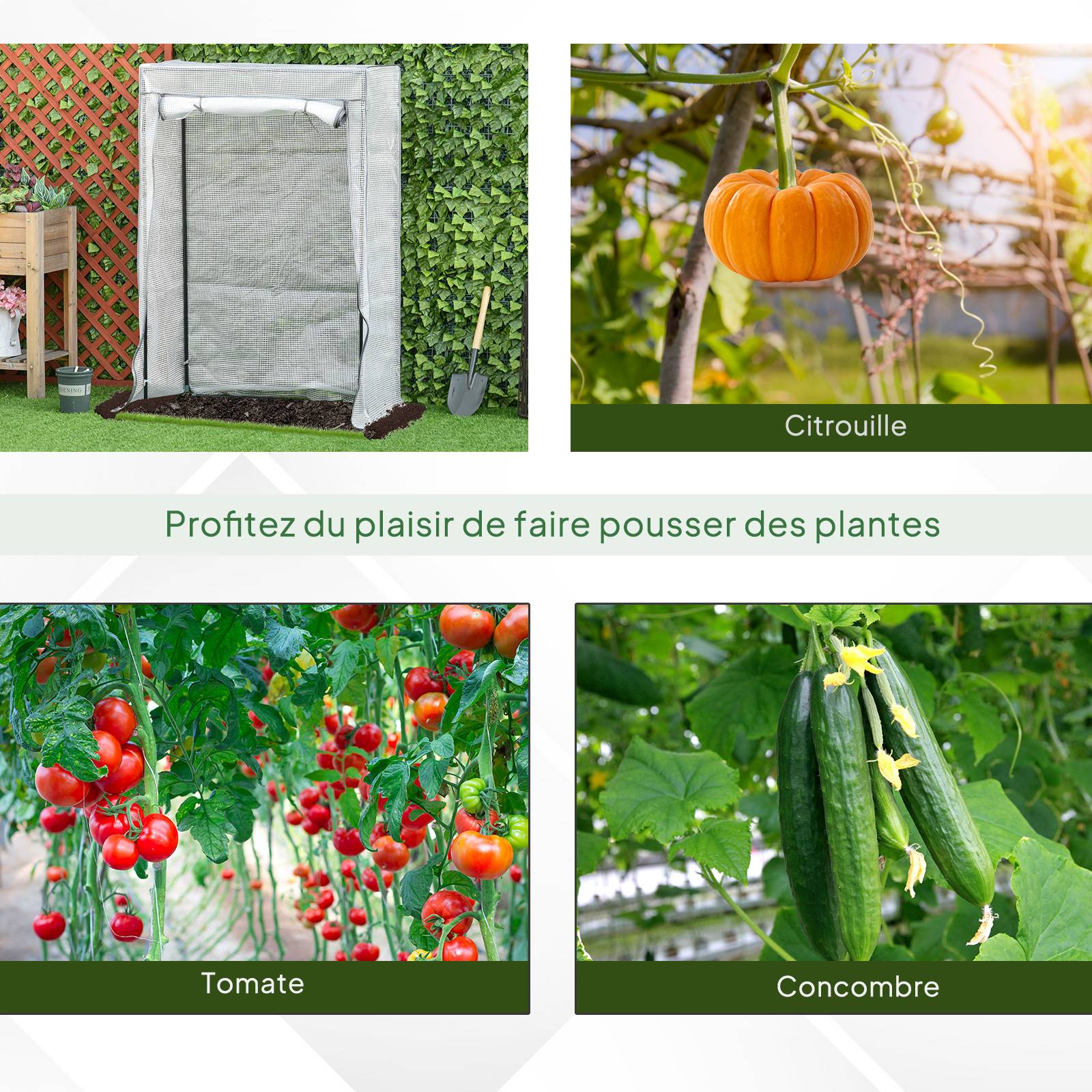 Serre de jardin, serre de balcon, bâche renforcée PE, châssis en acier, porte zippée enroulable, 100 x 50 x 150 cm blanc - Image 8