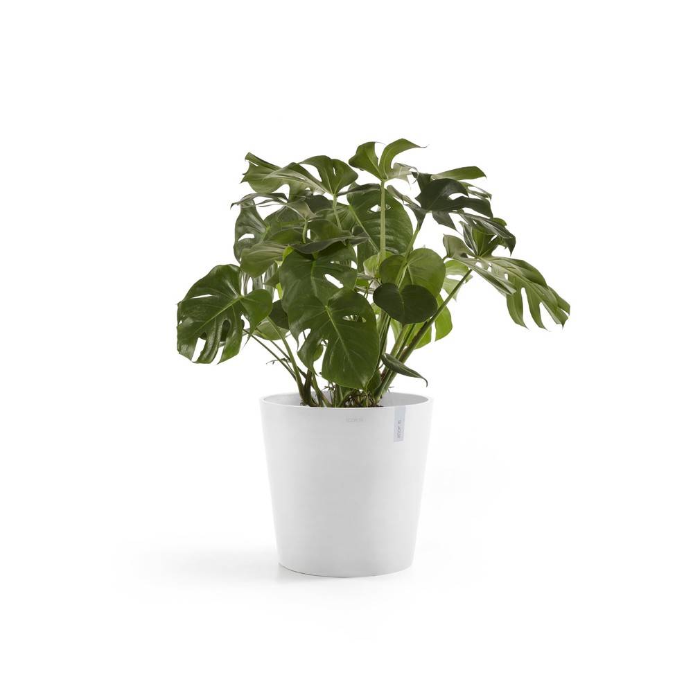 Ecopots - Pot Amsterdam 60 Pure White ECOPOTS - Imagen 2