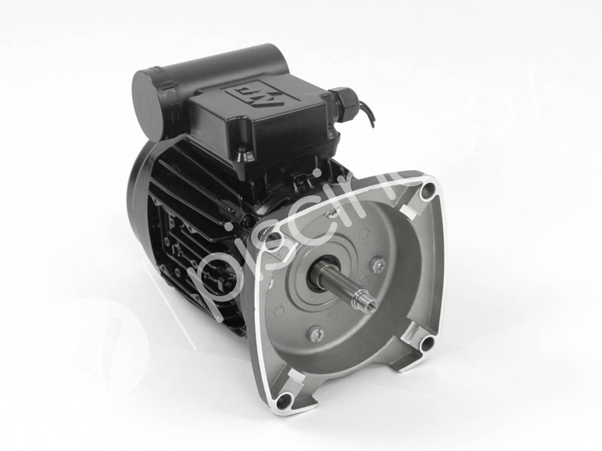Moteur pour pompes La Sta-Rite 1 CV Mono - Pentair - Imagen 4