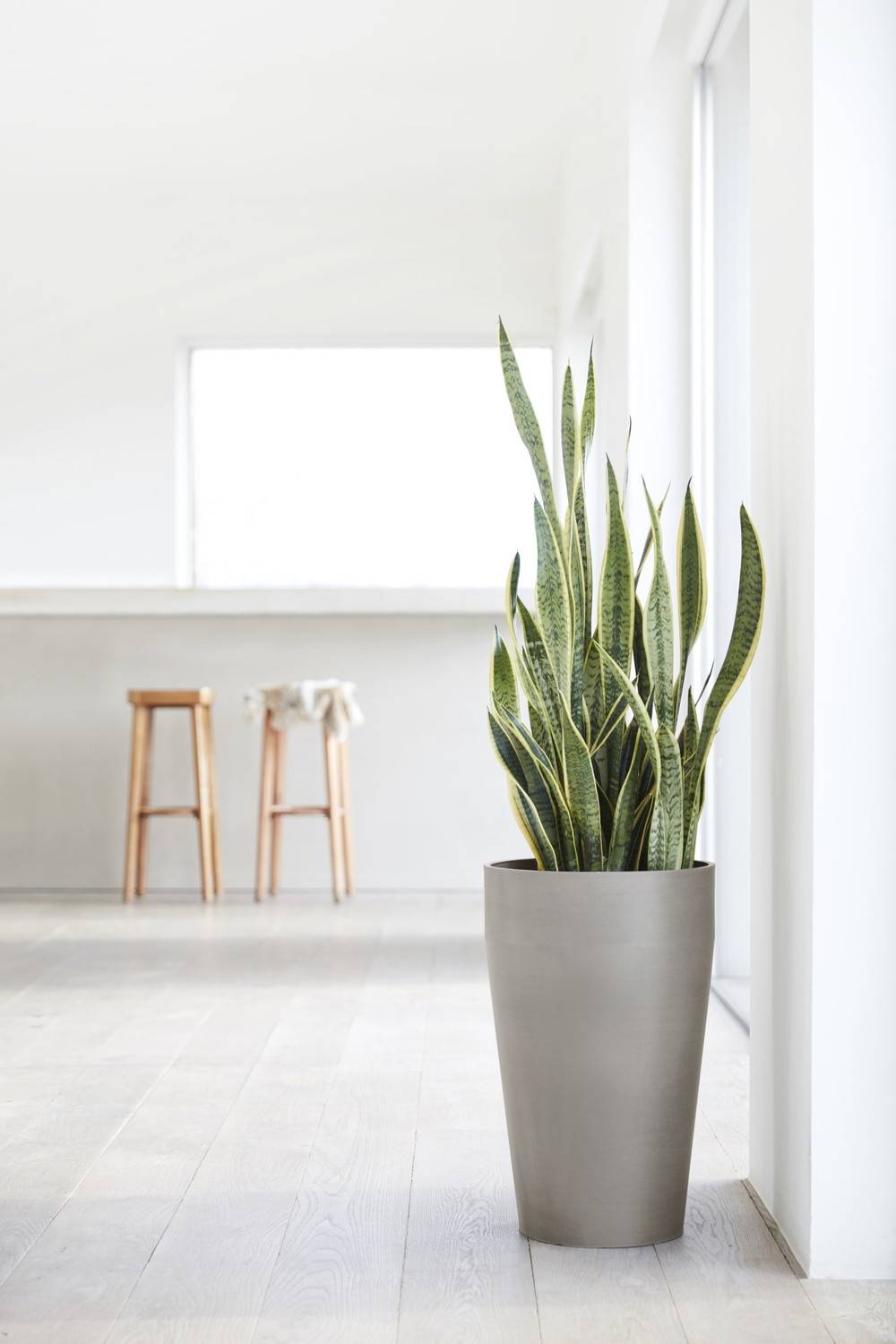 Ecopots - Pot Haut Sankara 75 Taupe - Ø 45 x H. 75 cm - 78 L ECOPOTS - Imagen 5