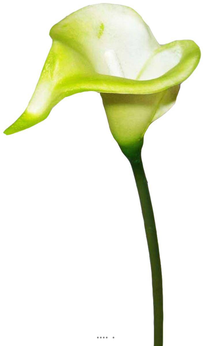 Artificielles - Arum calla fleur artificielle Verte H 42 cm Superbe - couleur: Blanc-vert