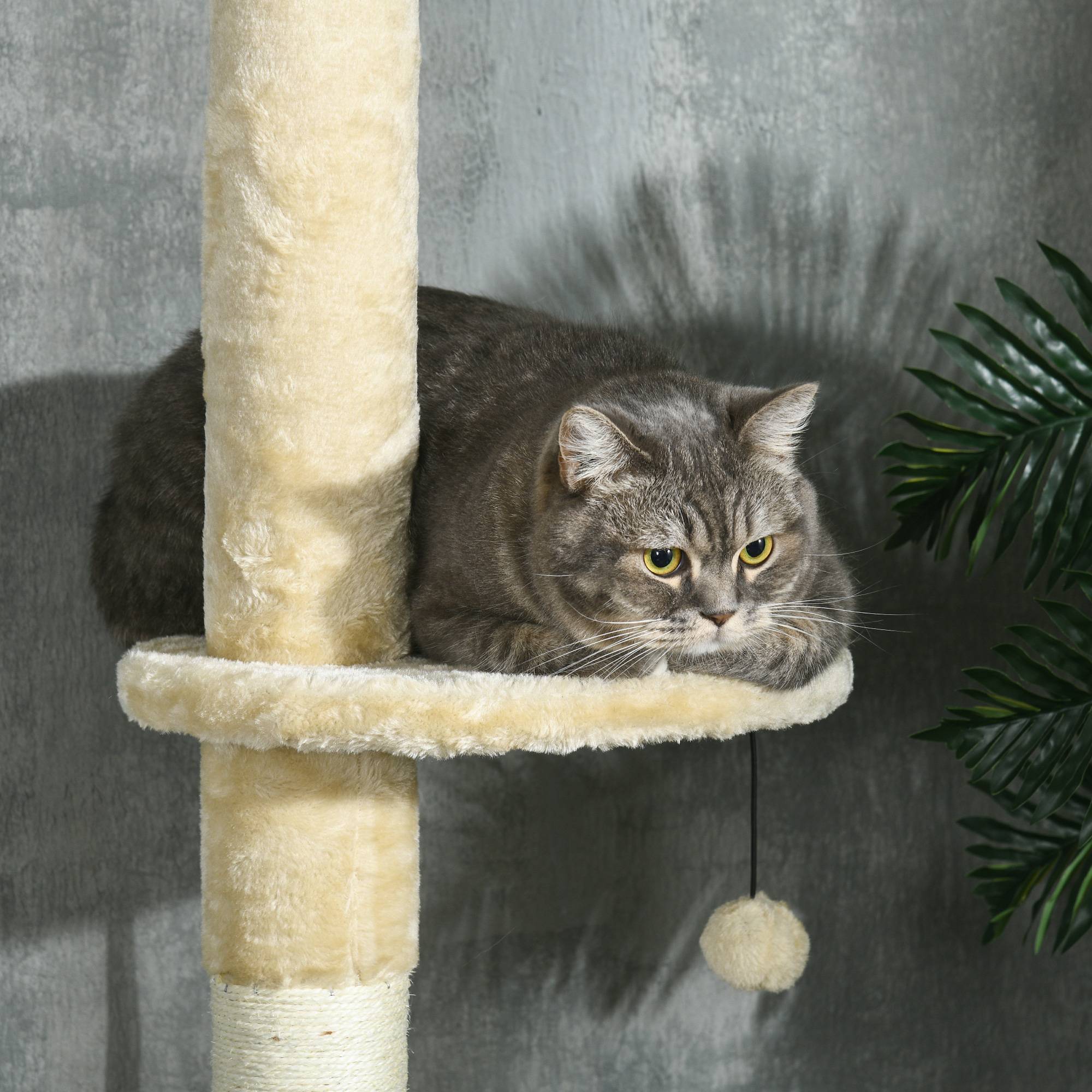 Pawhut - Arbre à chat style cosy naturel réglable H. 225-255 cm - niche, 2 rampes, plateforme, hamac - douce peluche courte beige - Imagen 8