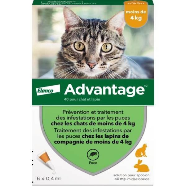 Advantage - Advantage Solution Antipuce Chat Lapin 1 a 4kg 6 pipettes