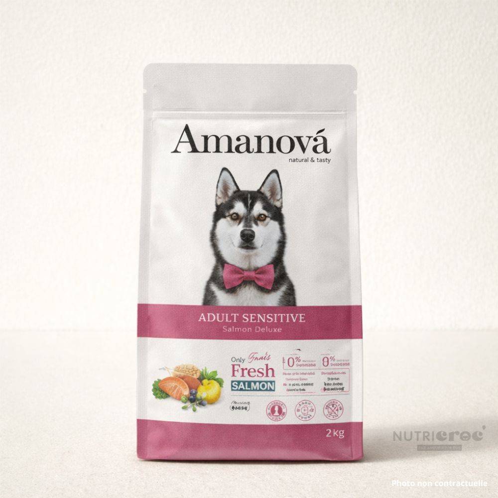 Croquettes Chien Sans Céréales Amanova Peau Sensible Saumon 2 kg