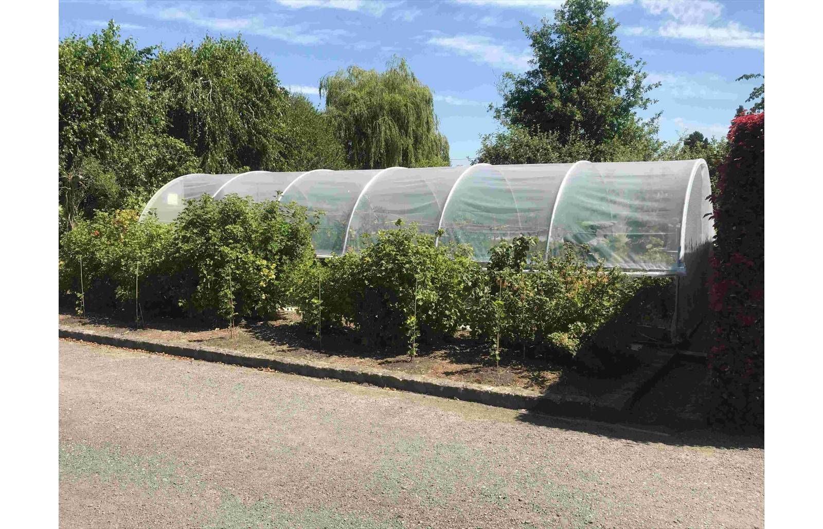 Serre tunnel de jardin - 33m² -  3,7 x 9 m - pieds arrondis - polyéthylène haute densité - aérations latérales - LES SERRES TONNEAU - Image 8