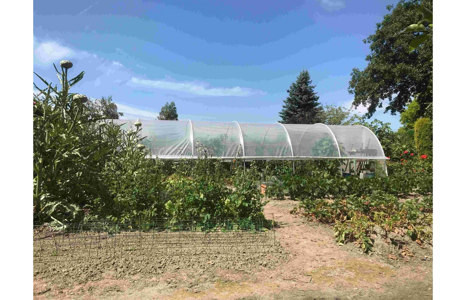 Serre tunnel de jardin - 33m² -  3,7 x 9 m - pieds arrondis - polyéthylène haute densité - aérations latérales - LES SERRES TONNEAU - Image 5
