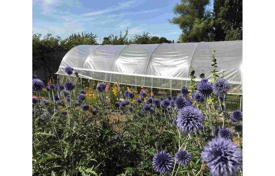 Serre tunnel de jardin - 33m² - 3,7 x 9 m - pieds arrondis - polyéthylène haute densité - aérations latérales - LES SERRES TONNEAU - Image 4