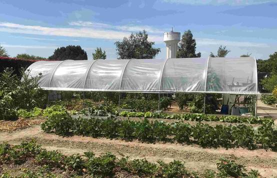 Serre tunnel de jardin - 33m² - 3,7 x 9 m - pieds arrondis - polyéthylène haute densité - aérations latérales - LES SERRES TONNEAU - Image 1