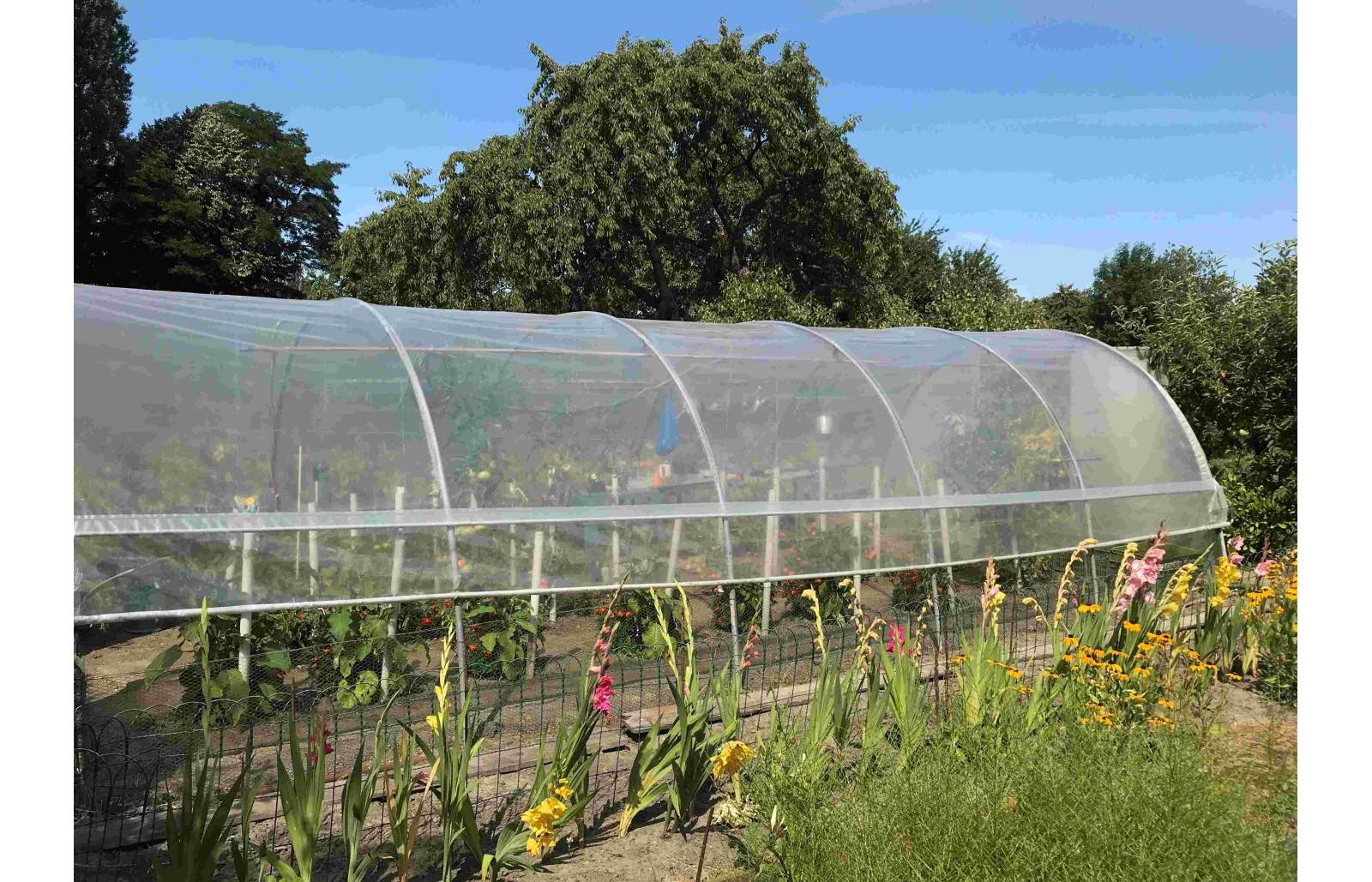 Serre tunnel de jardin - 33m² -  3,7 x 9 m - pieds arrondis - polyéthylène haute densité - aérations latérales - LES SERRES TONNEAU - Image 6