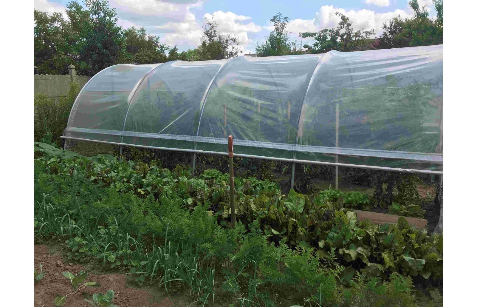 Serre tunnel de jardin - 33m² - 3,7 x 9 m - pieds arrondis - polyéthylène haute densité - aérations latérales - LES SERRES TONNEAU - Image 7