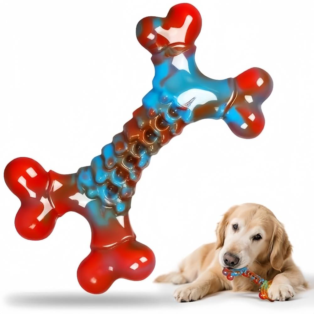 Jouets en os pour chien - IntiMeg