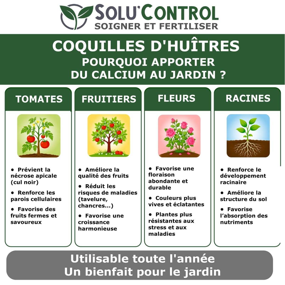 25 kg Écailles de Coquilles d'Huîtres Concassées 38% Calcium - SOLU'CONTROL - Calcium Marin - Image 4