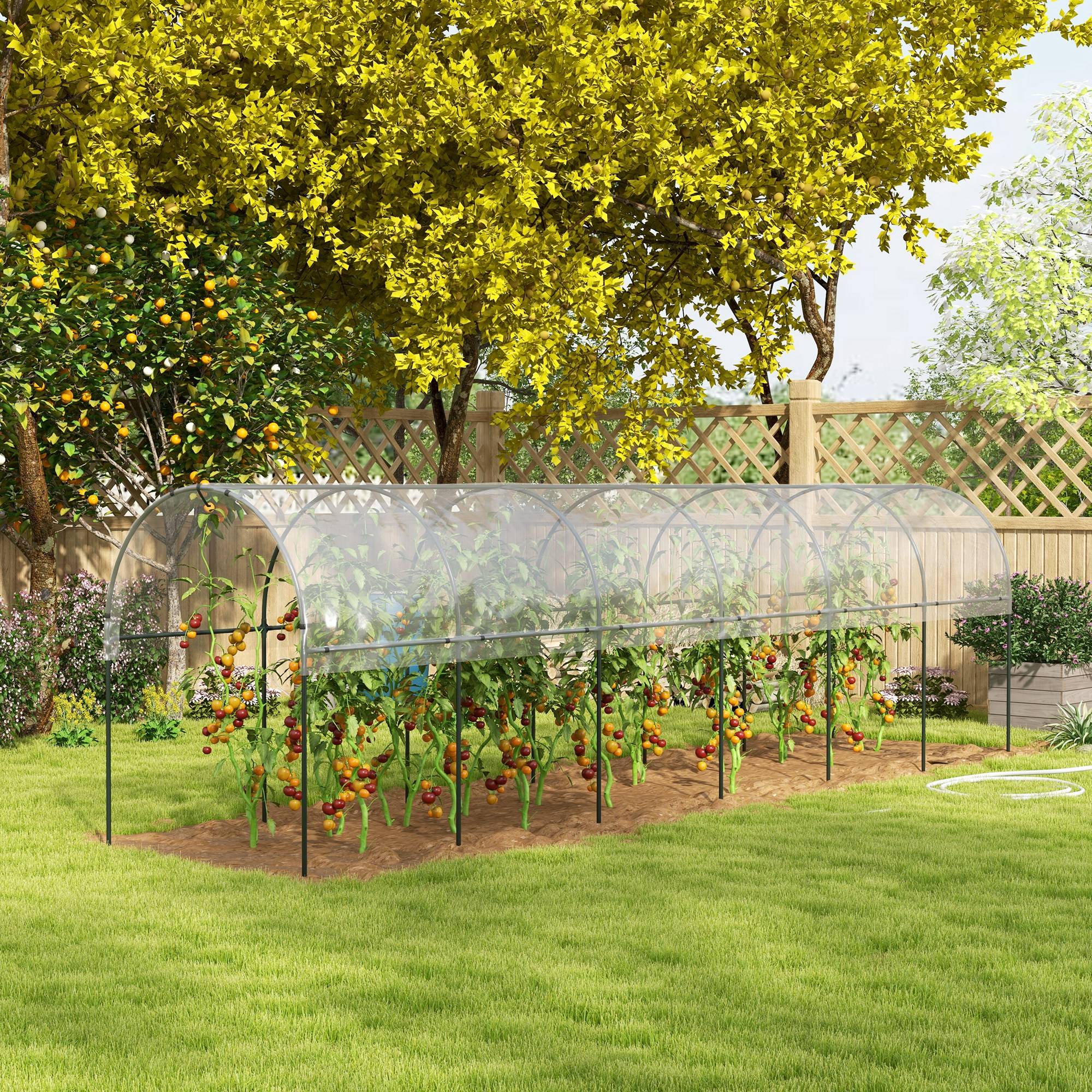 Serre tunnel à tomates acier pour potager croissance rapide 600x123x171cm transparent - ComfortXL Outdoor Living - Image 4