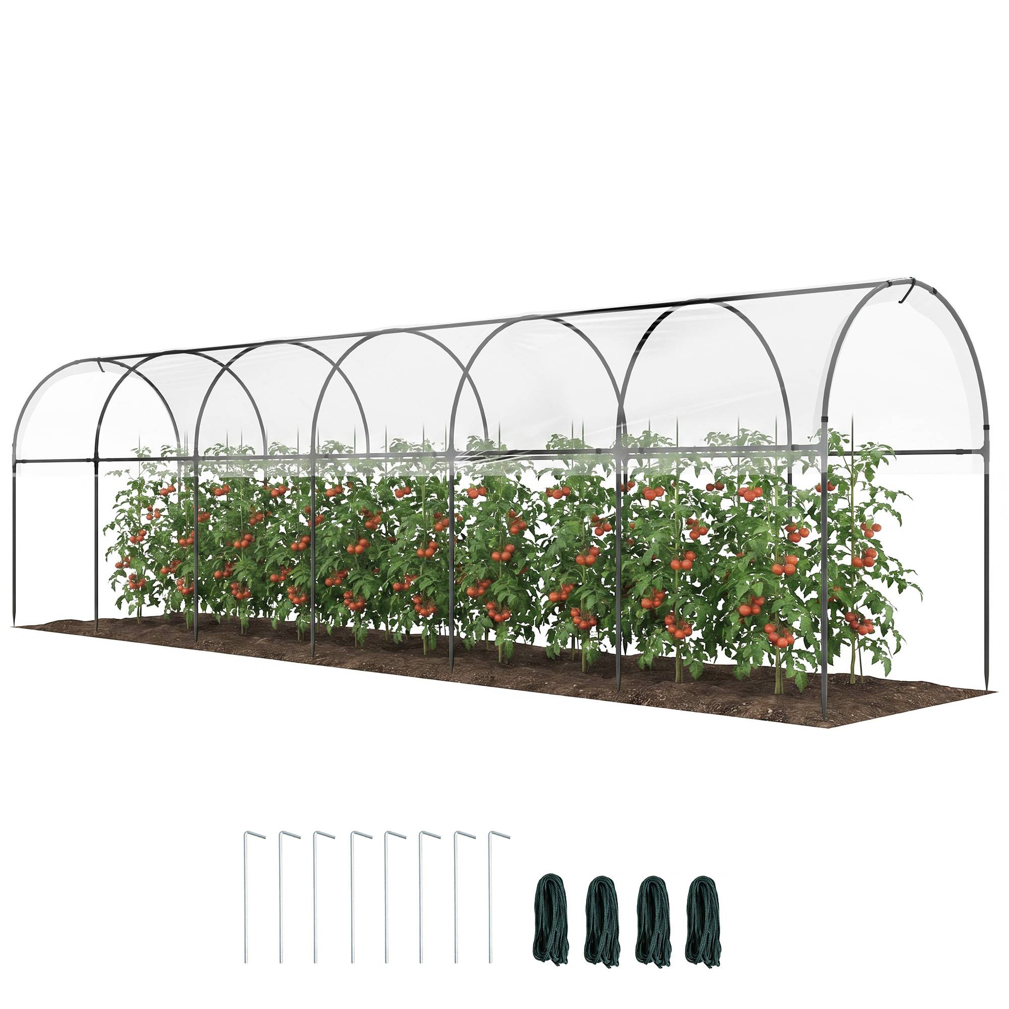 Serre tunnel à tomates acier pour potager croissance rapide 600x123x171cm transparent - ComfortXL Outdoor Living - Image 1