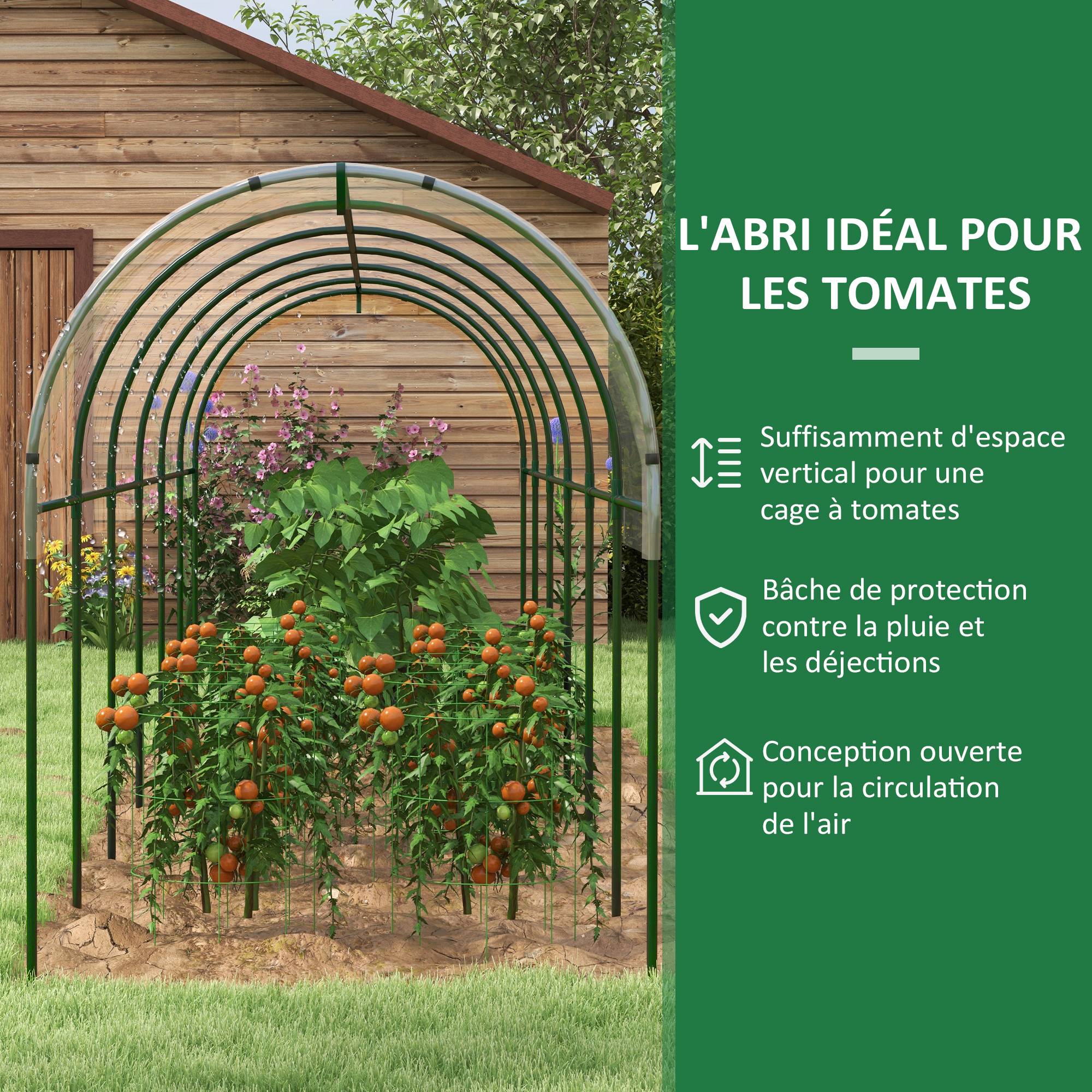 Serre tunnel à tomates acier pour potager croissance rapide 600x123x171cm transparent - ComfortXL Outdoor Living - Image 6