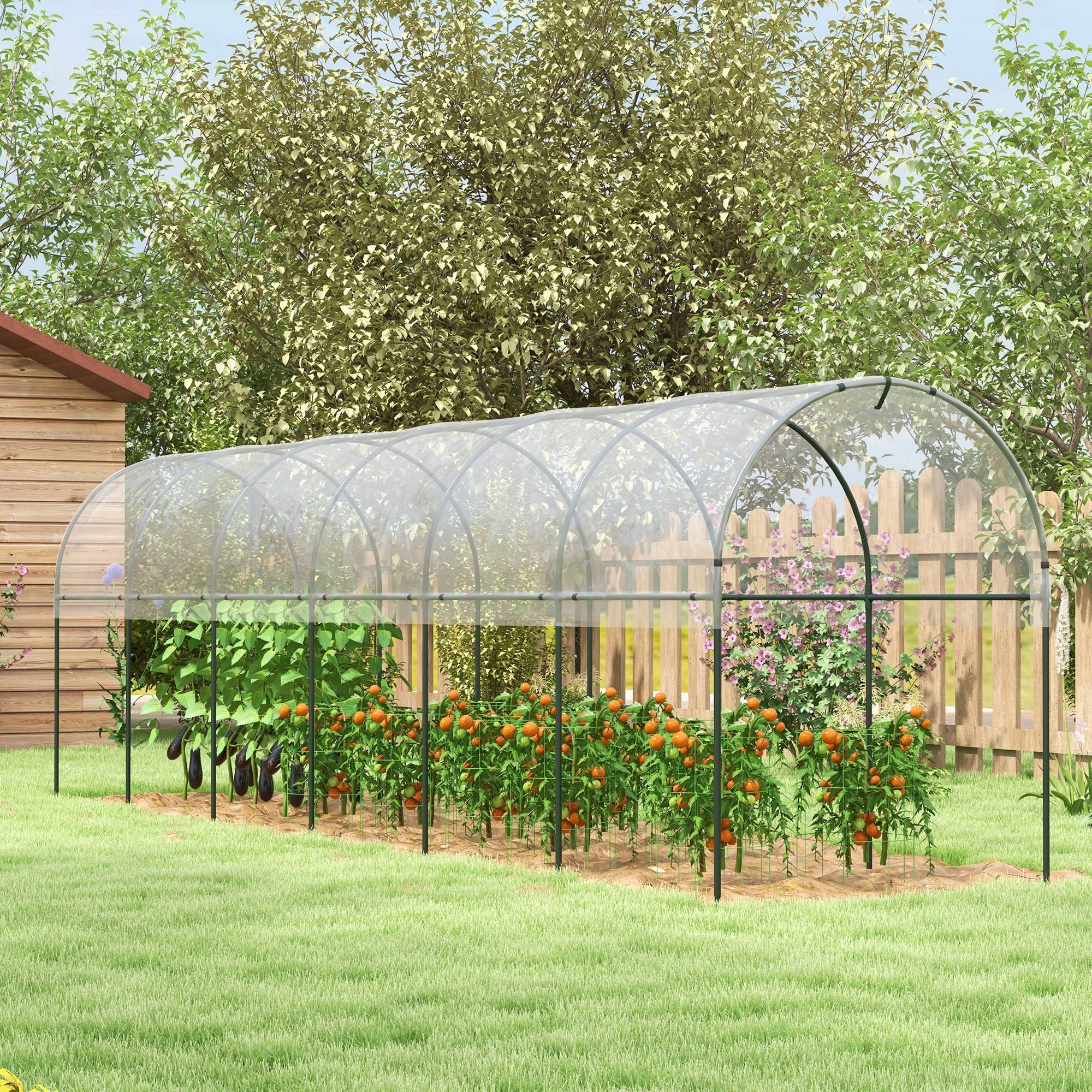 Serre tunnel à tomates acier pour potager croissance rapide 600x123x171cm transparent - ComfortXL Outdoor Living - Image 3